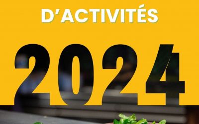 Notre rapport d’activités 2024