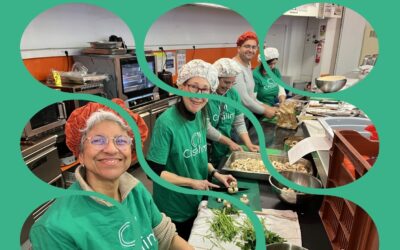 Découvrez notre rapport d&rsquo;activités 2025 !